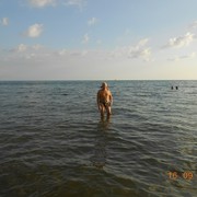  ,   , 71 ,   ,   , c 