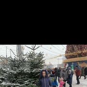 ���������� ����, ���� ������� ��������a, 36 ���, ������������ ��� ������, ����� � ���������