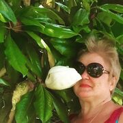  ,   , 56 ,   ,   