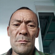  -,   , 49 ,   ,   