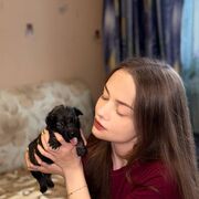 ���������� ���������, ���