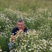 ���������� ����, ���� ������� �������, 50 ���, ������������ ��� ������, ����� � ���������, c�������� ���������