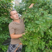 ���������� �����, ���� ������� �������, 43 ����, ������������ ��� ������, ����� � ���������, c�������� ���������