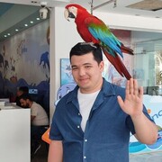  ,  , 18