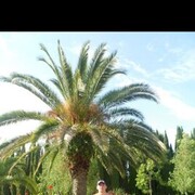 ���������� �����, ���� ������� �������, 41 ���, ������������ ��� ������, ����� � ���������, c�������� ���������