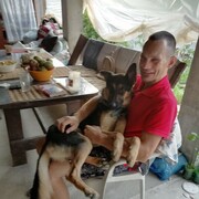 ���������� ����, ���� ������� DeemAn, 38 ���, ������������ ��� ������, ����� � ���������, c�������� ���������, ���������