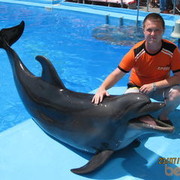 ���������� ������, ���� ������� �����, 42 ����, ������������ ��� ������, ����� � ���������, c�������� ���������