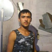  ,   Bek, 31 ,   ,   , c 