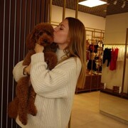 ���������� Nova Diklenica, ���� ������� ������, 28 ���, ������������ ��� ������, ����� � ���������, c�������� ���������