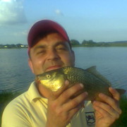 ���������� �������, ���� ������� A���, 43 ����, ������������ 