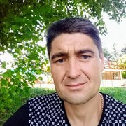  ,   Radu, 48 ,   ,   , c 