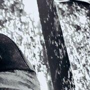 ���������� �������-����������, ������ ���, 25