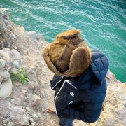  ,  Saad, 25