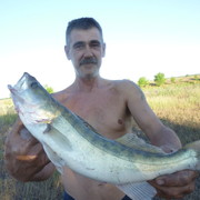 ���������� ���������, ���� ������� ���������, 62 ����, ������������ ��� ������, ����� � ���������, c�������� ���������