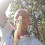  ,   , 61 ,   ,   , 