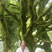 ���������� �����������, ���� ������� ������, 41 ���, ������������ ��� ������, ����� � ���������, c�������� ���������