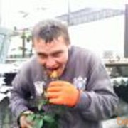  ,   Pasa, 37 ,   