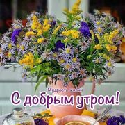  ,   Fedor, 62 ,   ,   