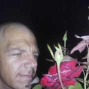   ,   , 48 ,  