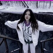 ���������� �����������, �����