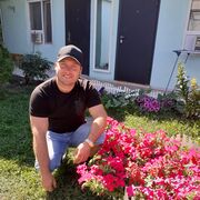 ���������� ��������, ������� �������, 41