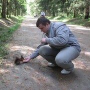 �������� 2020