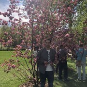 ���������� ������, ���� ������� �����, 31 ���, ������������ ��� ����� � ���������, c�������� ���������