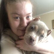 ���������� �����������, ���� ������� �����, 26 ���, ������������ ��� ���������