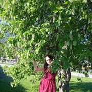 ���������� ������, ���� ������� �����, 36 ���, ������������ ��� ����� � ���������, c�������� ���������