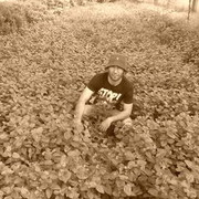 ���������� �������, ���� ������� ������, 40 ���, ������������ ��� ������, ����� � ���������, c�������� ���������