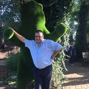 ���������� ���������, ���� ������� ������, 43 ����, ������������ ��� ������, ����� � ���������, c�������� ���������, ���������