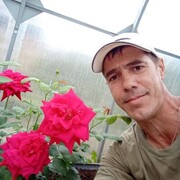  ,   , 46 ,     , c 