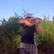 ���������� ������, ���� ������� Aleksey, 44 ����, ������������ ��� ������, ����� � ���������, c�������� ���������, ���������