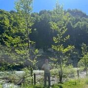 ���������� �����, ���� ������� ����, 54 ����, ������������ ��� ������, ����� � ���������