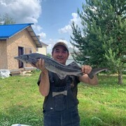 ���������� ������, ���� ������� ������, 52 ����, ������������ ��� ������, ����� � ���������