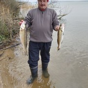  ,   , 59 ,  