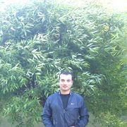 ,   , 39 ,   