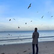 ���������� �����������, ���� ������� �����, 29 ���, ������������ ��� ������, ����� � ���������