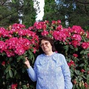  ,   , 61 ,   