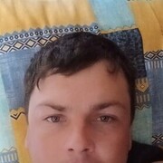 ���������� ������, ���� ������� ����, 38 ���, ������������ ��� ������, ����� � ���������, c�������� ���������