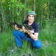  ,  maksim, 51