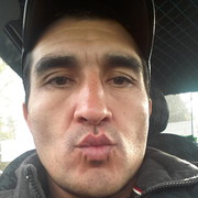 ���������� ��������, ���� ������� ��913570266, 48 ���, ������������ 