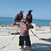 ���������� ����, ������� �������, 44