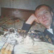  -,   , 55 ,   