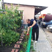  ,   , 57 ,   ,   