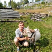 ���������� ��������, ������� �������, 43