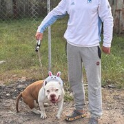  ,   , 47 ,   ,   , c , 