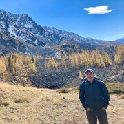 ���������� �����������, ���� ������� ����, 44 ����, ������������ ��� ����� � ���������, c�������� ���������