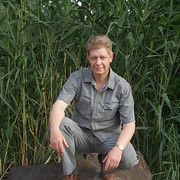  ,   , 55 ,   