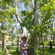 -,   , 44 ,     , c 
